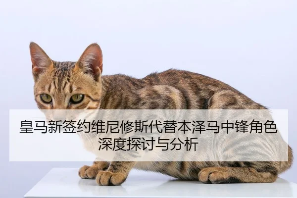 皇马新签约维尼修斯代替本泽马中锋角色深度探讨与分析